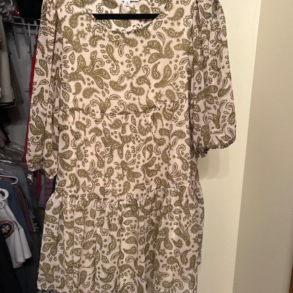 BB Dakota fall dress